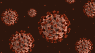 Coronavirus