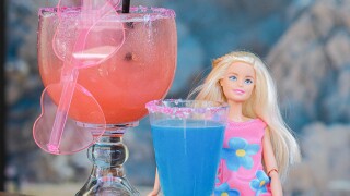 barbie_dream_marg_ken_shot_blind_burro_sdcc_2023.jpg