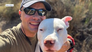 Senior Chief Petty Officer Sean Niven adopted his dog, Adrian, in 2020