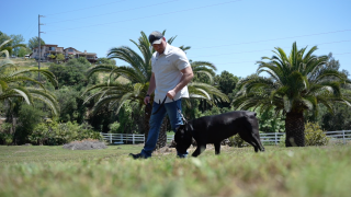 dog-owner-sues-carlsbad-vet-092024