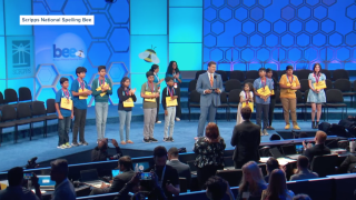 Scripps Spelling Bee History