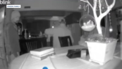 Caught on video: Burglars go shopping inside Oak Park home