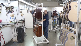 Taylor Guitars manufacturing