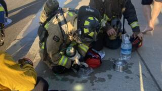 Cat rescued from Oceanside house fire. 