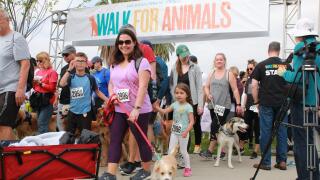 san diego humane society walk for animals