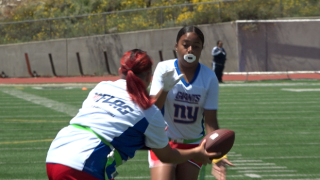 SHE ROCKS FLAG FBALL.png