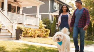 Study Finds Neighborhoods With Dogs Are Safer