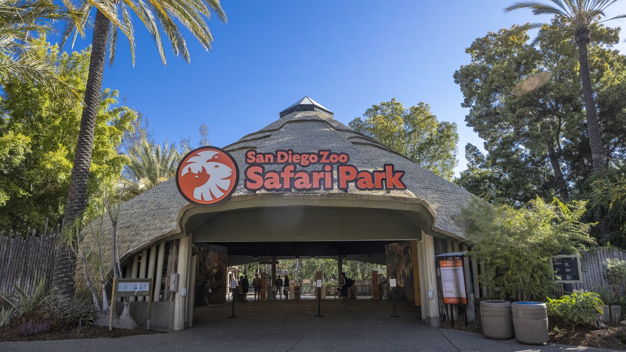 San Diego Zoo Safari Park 