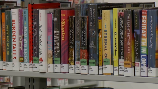 Books on a shelf in the library 