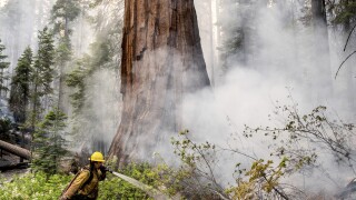 California Wildfires