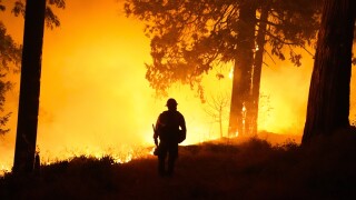 Forest Service closes all national forests in California amid 'historic' fire conditions