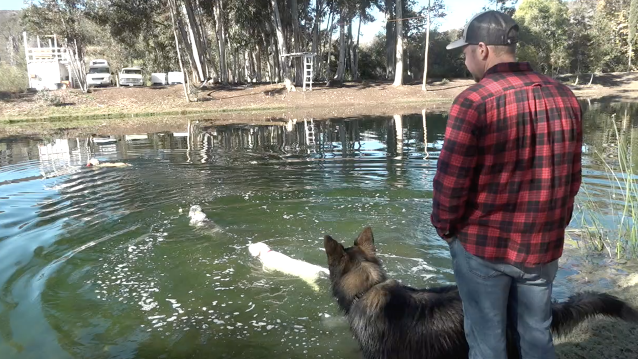 App turns San Diego County yards into private dog parks